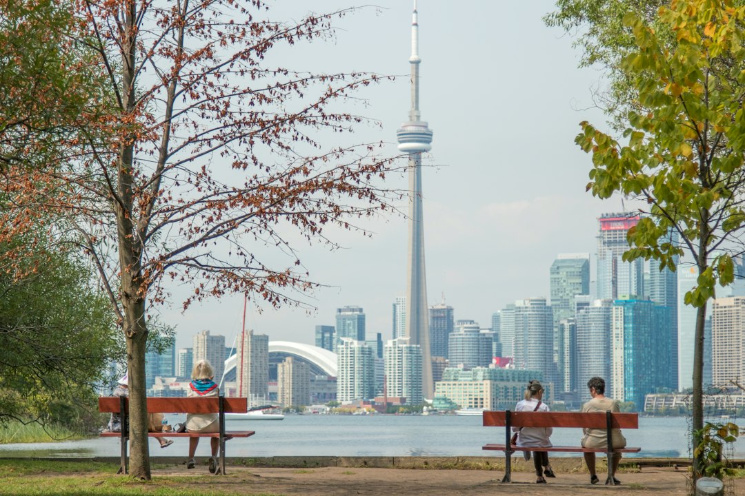 Utdanning i Toronto: En dypdykk i muligheter og strategier